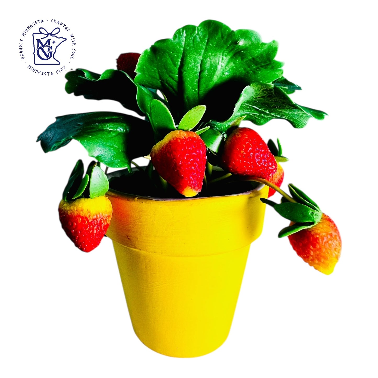 STRAWBERRY POTS