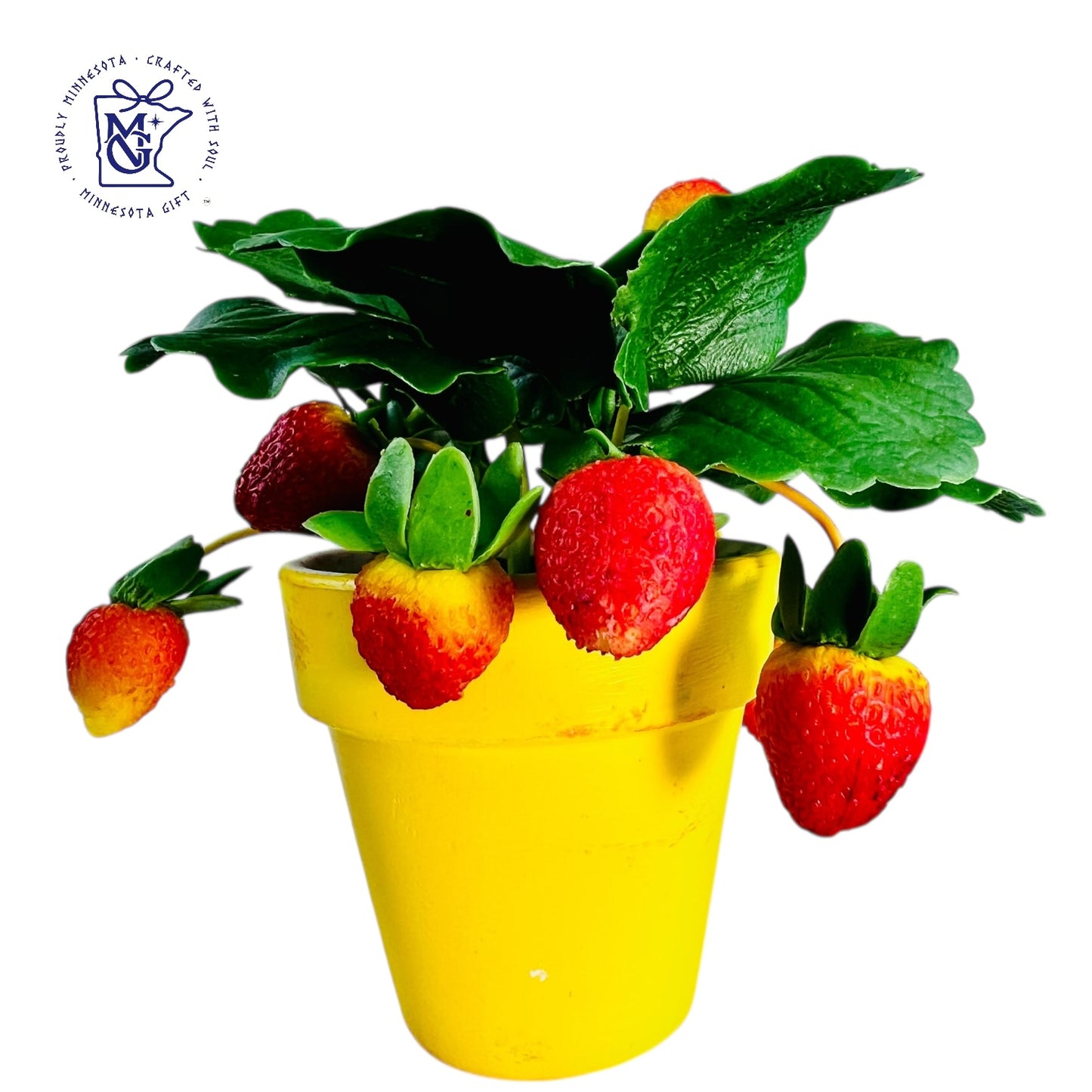 STRAWBERRY POTS