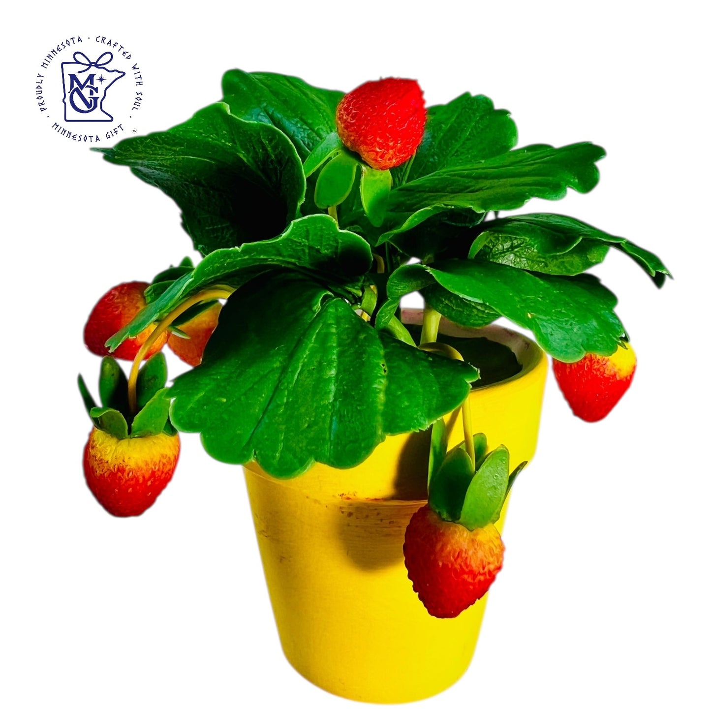 STRAWBERRY POTS