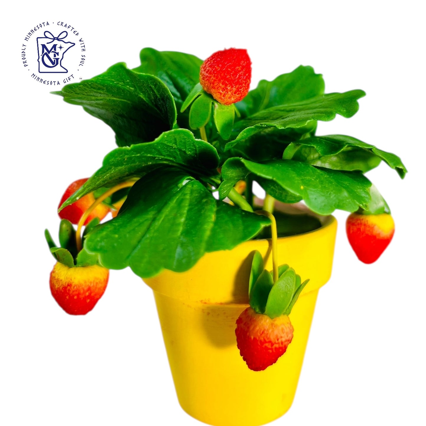 STRAWBERRY POTS