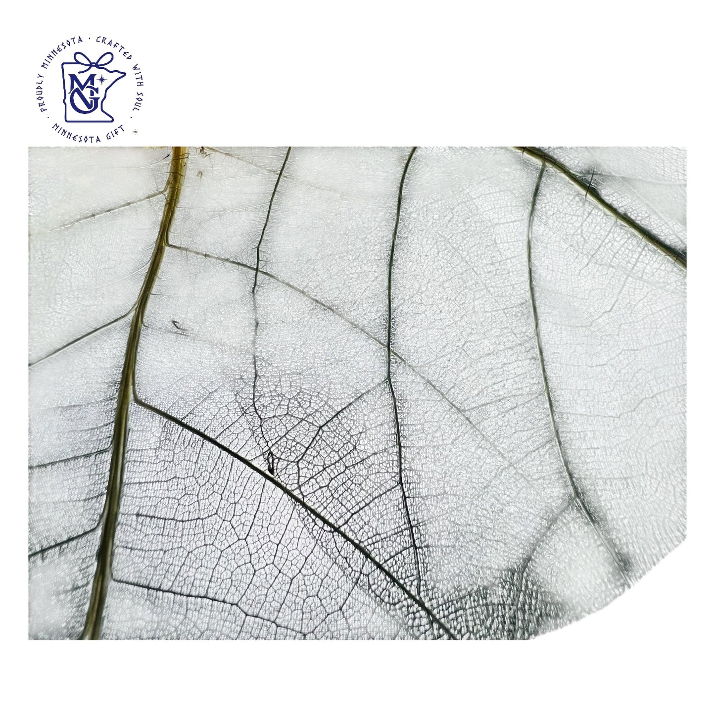 INDIAN ALMOND LEAF VEIN