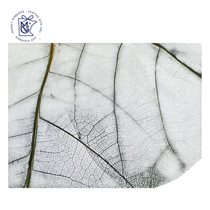 INDIAN ALMOND LEAF VEIN