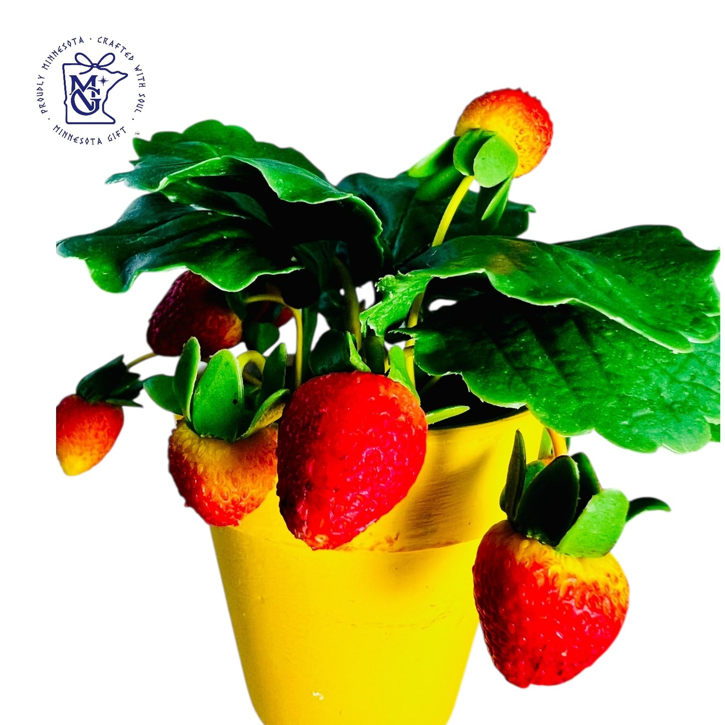 STRAWBERRY POTS