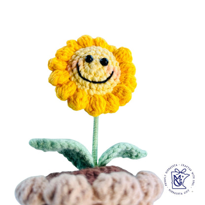 MINI SUN FLOWER