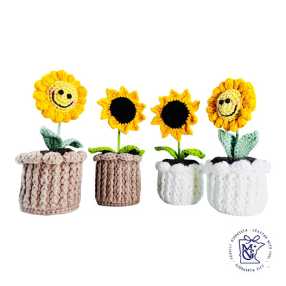 MINI SUN FLOWER