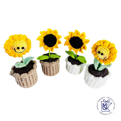 MINI SUN FLOWER