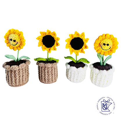 MINI SUN FLOWER